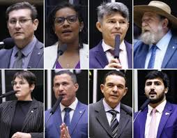 Deputados federais por Mato Grosso em 2025: atuação, votações e desafios da bancada