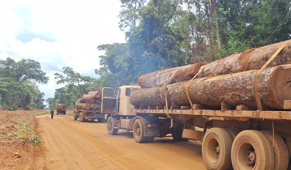 Polícia Militar apreende mais de 100m³ de madeira ilegal em Feliz Natal-MT