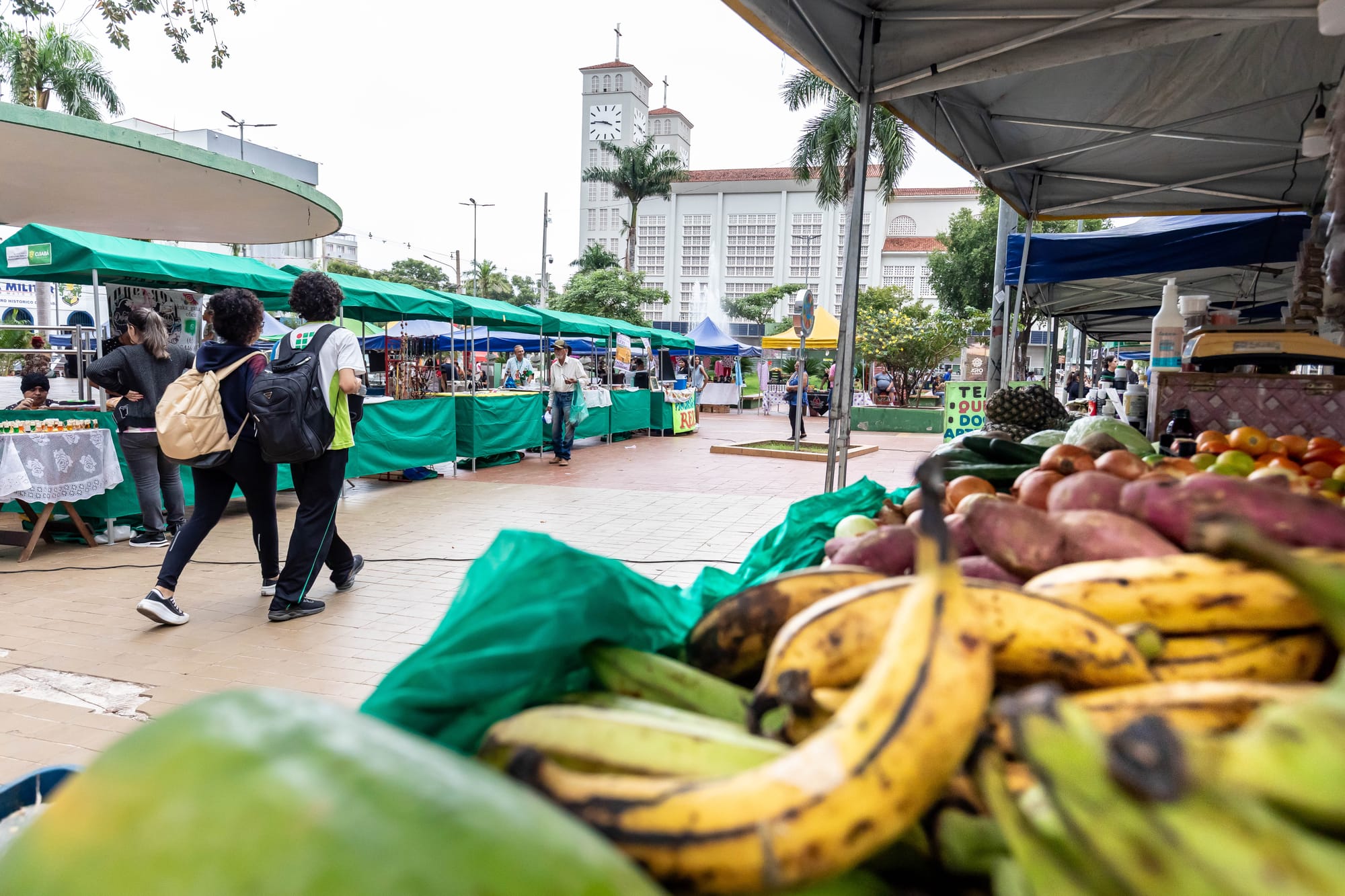 Feiras impulsionam economia local e movimentam quase R$ 1 milhão em Cuiabá-MT
