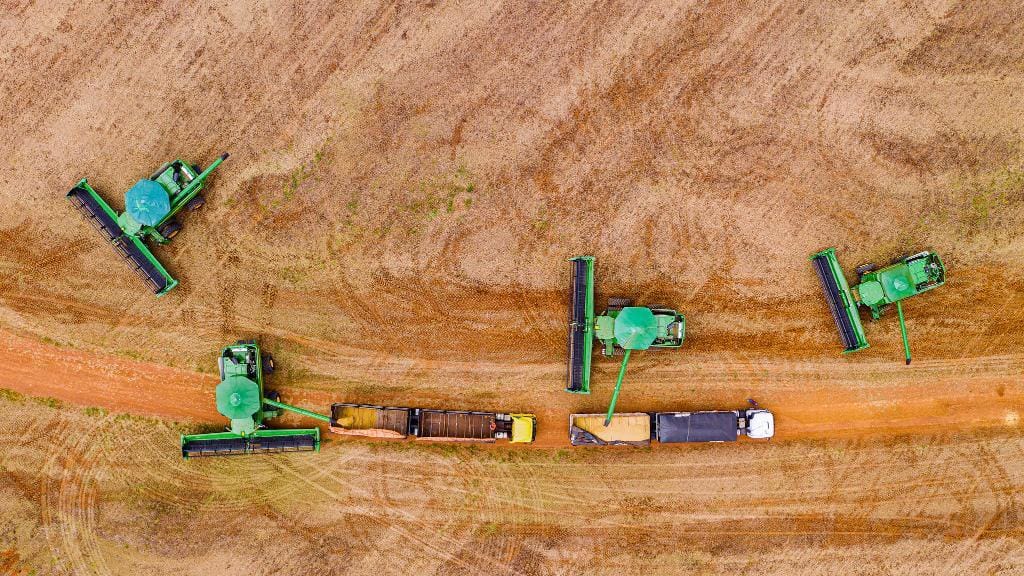 Sefaz MT define regras e limite para incentivo fiscal à soja a granel em 2026