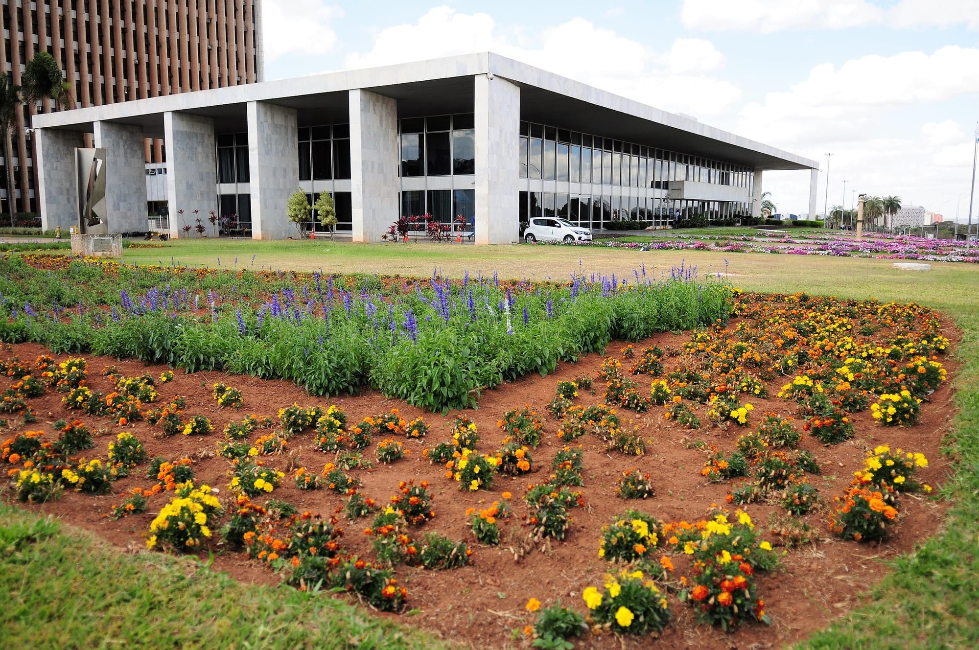 Casa Civil do DF divulga manual sobre condutas proibidas de agentes públicos durante o período eleitoral