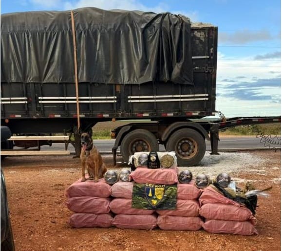 Gefron apreende mais de 400 quilos de skank e causa prejuízo de R$ 1,8 milhão ao crime