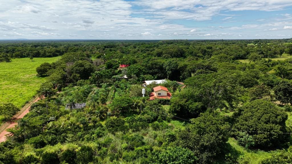 Agrofloresta em Santo Antônio de Leverger avança para conquistar selo e fortalecer produção de ovos caipira