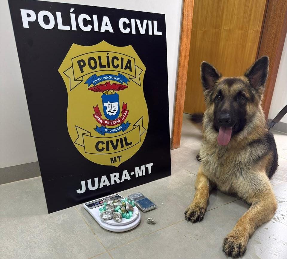 Polícia Civil prende dois homens por tráfico de drogas em Juara-MT