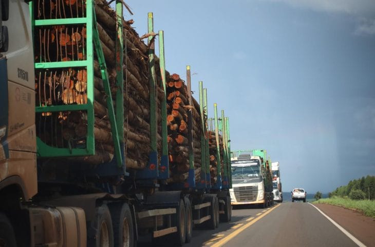 Rota da Celulose: concessão garante segurança viária e inovações a Mato Grosso do Sul