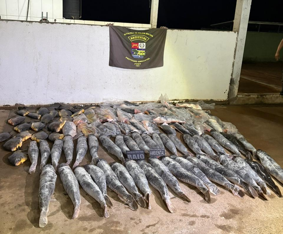 Batalhão Ambiental da PM prende homem com mais de 340 quilos de pescado ilegal em Cuiabá-MT