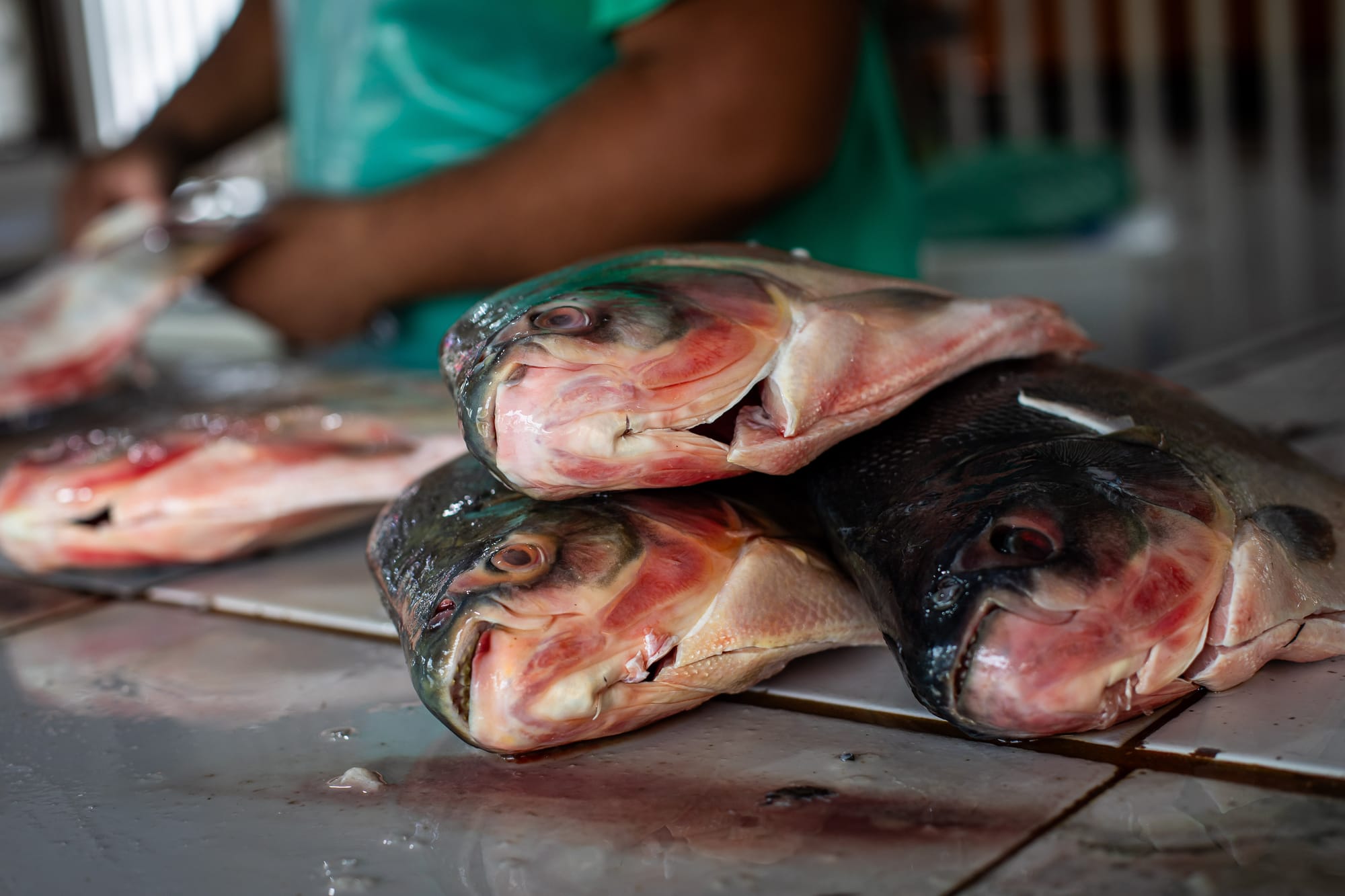 Prefeitura publica portaria da Feira Peixe Santo e abre inscrições para vendedores em Cuiabá-MT