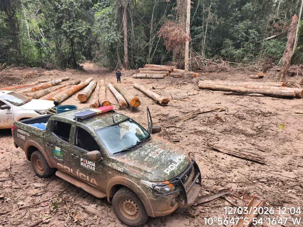 Batalhão Ambiental da PM apreende mais de 174 m³ de madeira ilegal durante fiscalização em Marcelândia-MT