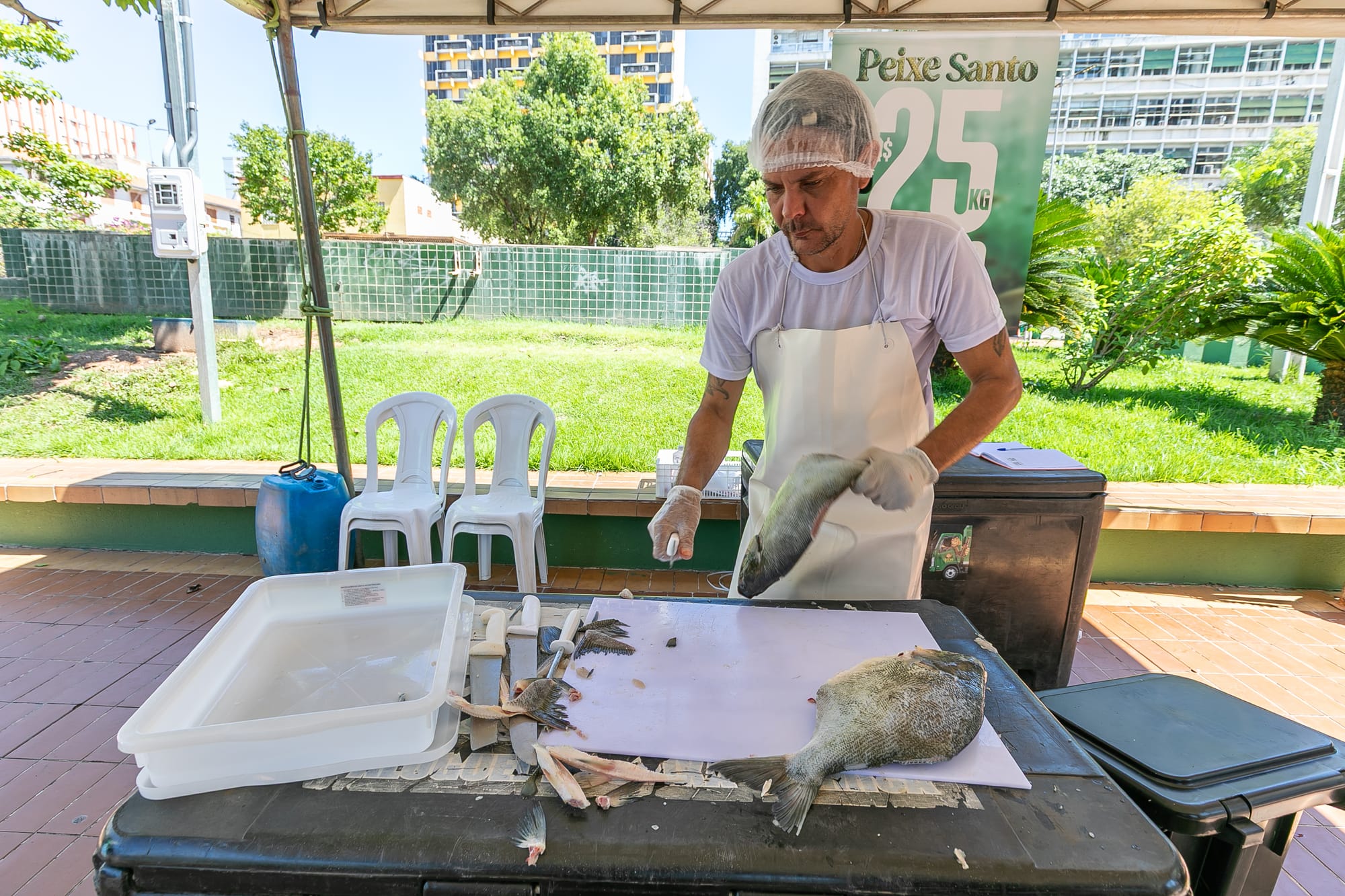 Peixe a R$ 25 atrai consumidores e segue até sexta-feira em Cuiabá-MT
