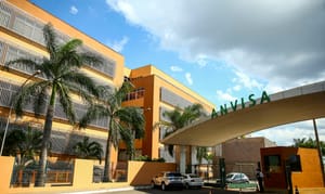 Anvisa proíbe produtos à base de alulose, um tipo de adoçante; entenda