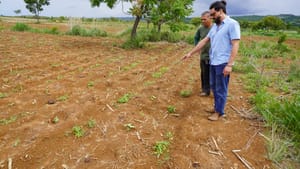 Assistência técnica no DF ajuda a aumentar o número de produtores que têm certificação orgânica