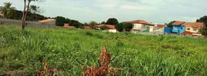 Lei sancionada cria canal para denúncias de terrenos baldios em Várzea Grande-MT