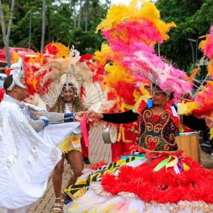 Governo lança Folia Goiás 2026