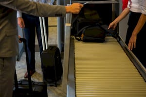 Brasil implementará novas regras para entrada de produtos agropecuários e reforçará barreiras contra pragas e doenças