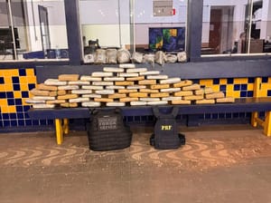 Ação integrada da Força Tática e PRF apreende 73 quilos de supermaconha em Rondonópolis-MT