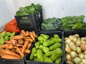 Prefeitura de Dourados-MS lança edital para compra de alimentos da agricultura familiar para a merenda escolar