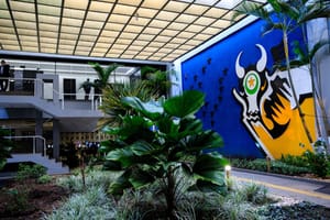 Governo de MT paga salários de janeiro na sexta-feira (30) com correção da RGA