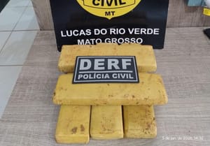 Polícia Civil apreende tabletes de maconha enterrados debaixo de pé de manga em Lucas do Rio Verde