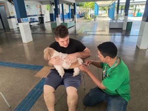 Cuiabá-MT registra aumento da leishmaniose e reforça alerta contra a raiva