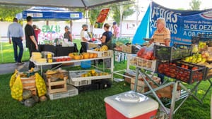 Feira da Família retorna ao Paço Municipal de Várzea Grande-MT nesta terça-feira (03)