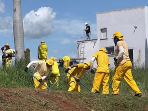Reeducandos trabalham na manutenção do Autódromo Internacional de Goiânia-GO
