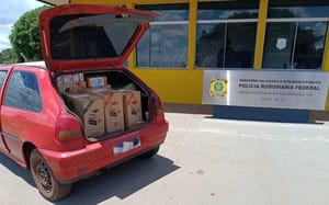 PRF apreende cigarros contrabandeados em Nova Andradina (MS)