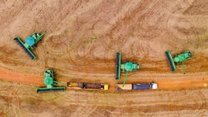 Mato Grosso consolida estratégia de diversificação internacional com abertura de 15 novos mercados