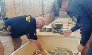 PRF e PM-MT apreendem mais de 1 tonelada de skunk em Alto Araguaia (MT)