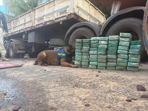 Com cães farejadores PRF apreende 215 Kg de cocaína em Terenos (MS)