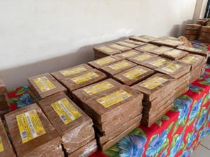 Apoio técnico da Empaer e da Seaf projeta agroindústria de Livramento-MT para novos mercados