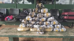 Gefron apreende mais de 16 kg de skunk e causa prejuízo de quase R$ 50 mil as facções criminosas