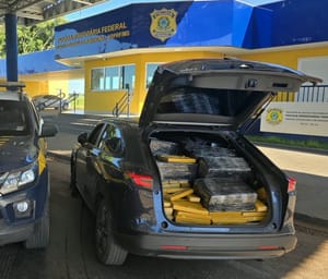 PRF apreende 1,2 tonelada de maconha em Ivinhema (MS)